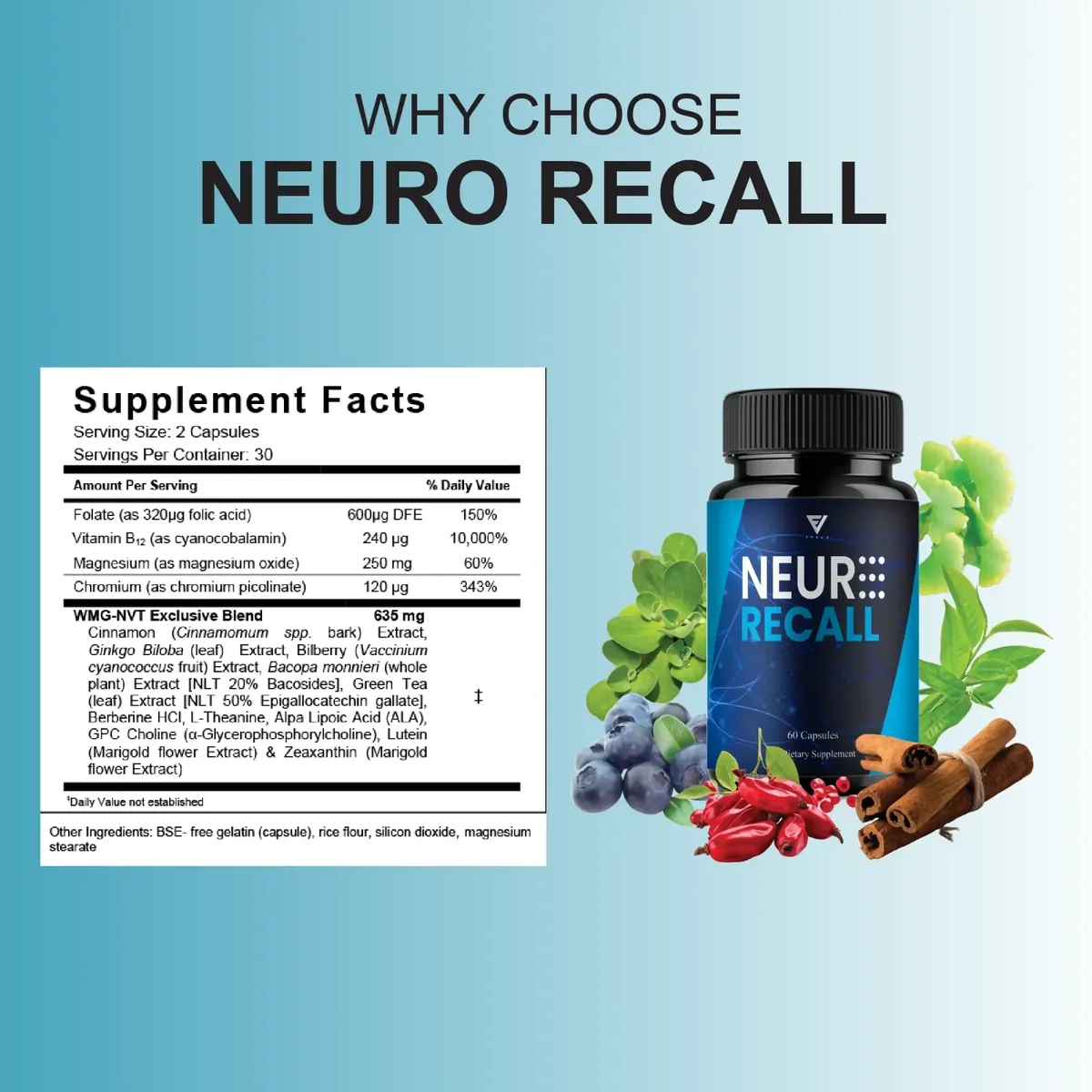 Neuro Recall Supplement Facts panel beside a navy bottle surrounded by blueberries, ginkgo leaves, cinnamon sticks and red berries